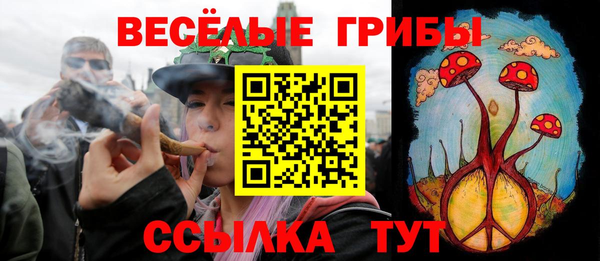 Псилоцибиновые грибы мухоморы Красный Сулин